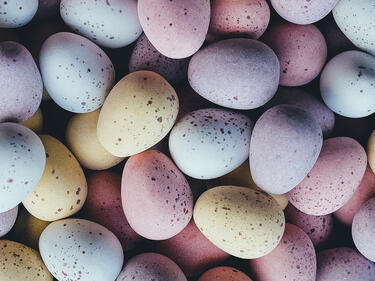 colorful easter eggs
