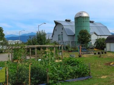 Outdoor garden and barn