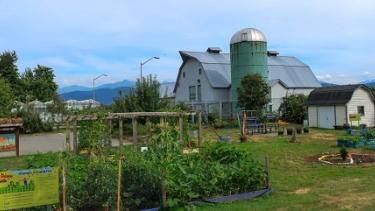 Pencil Patch Outdoor garden and barn