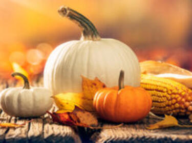 variety of pumpkins and corn