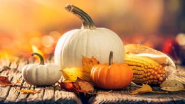 variety of pumpkins and corn