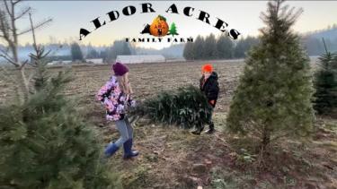 Aldor Acres Christmas farm