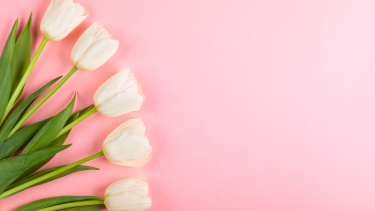 Spring Flowers