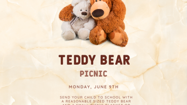 Teddy Bear picnic poster