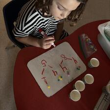 Intellectual Development