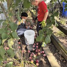  Human and Social Development