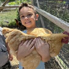 Human and Social Development