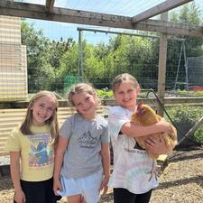 Human and Social Development