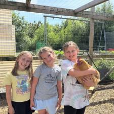 Human and Social Development