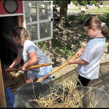 Human and Social Development