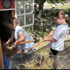 Human and Social Development